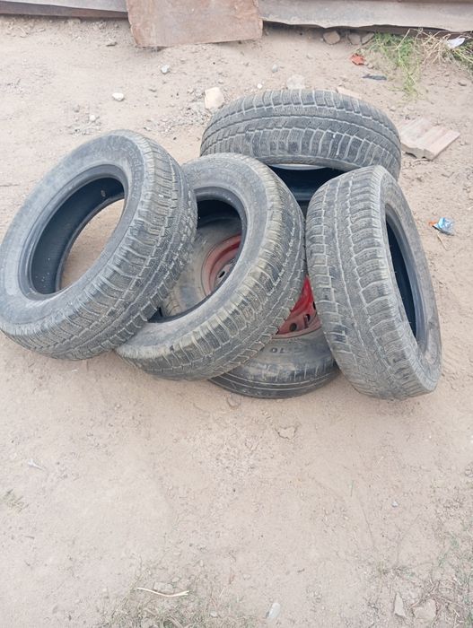 Зимний шишка нет