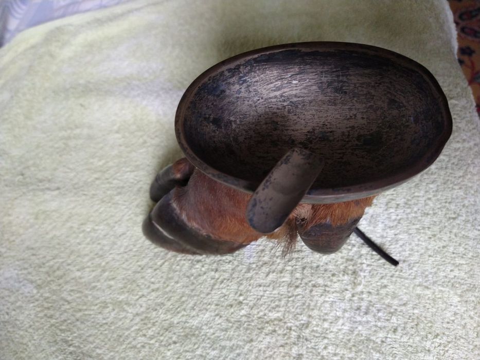 Vând trofeu de cerb cu scrumiera din argint,datând din anul 1905