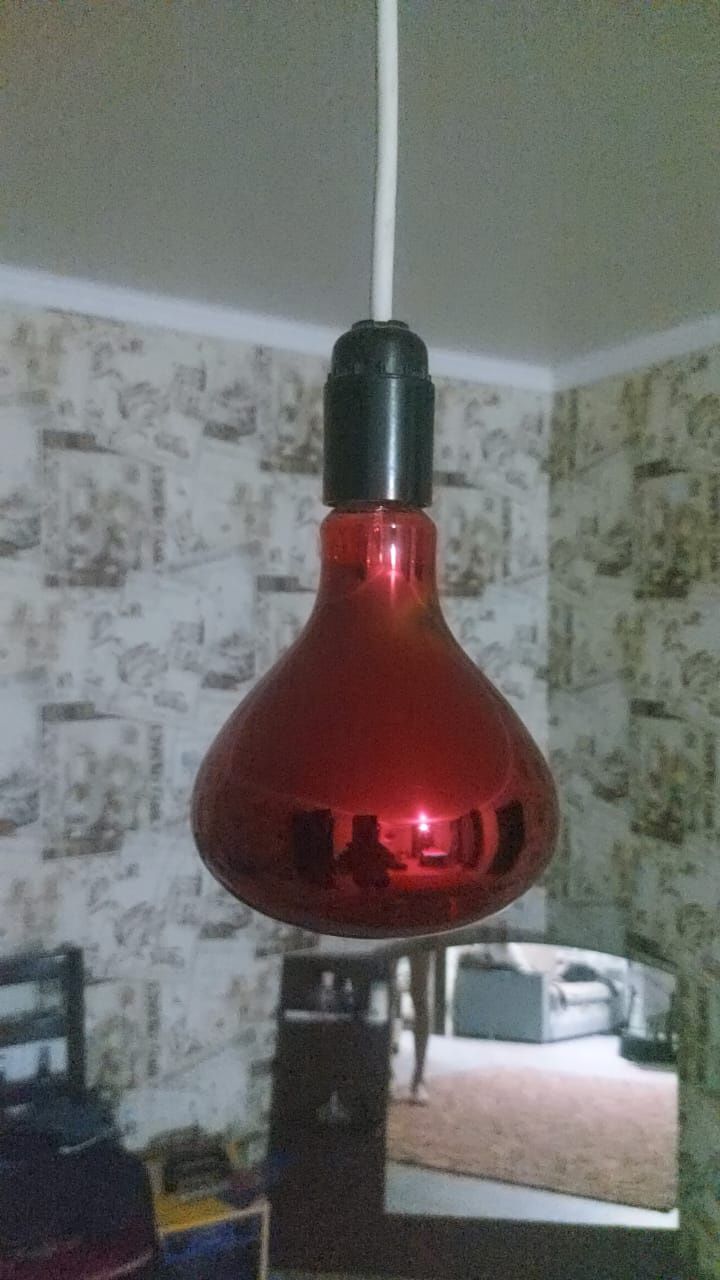 Лампа для обогрева