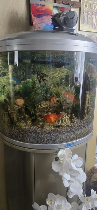 Vand acvariu asa cum se vede in poze