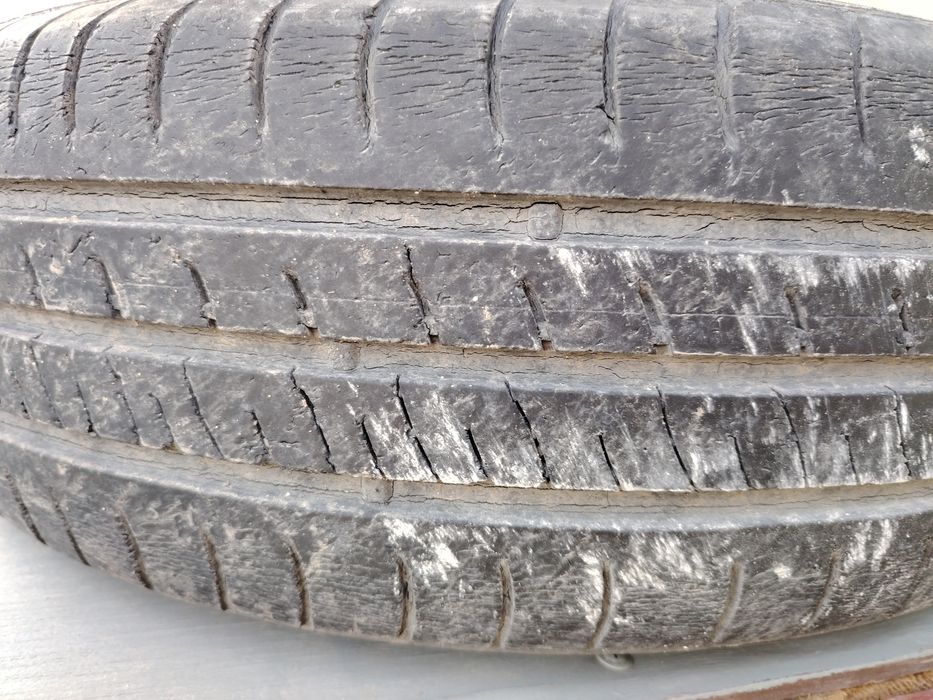 Жазғы дөңгелек тер