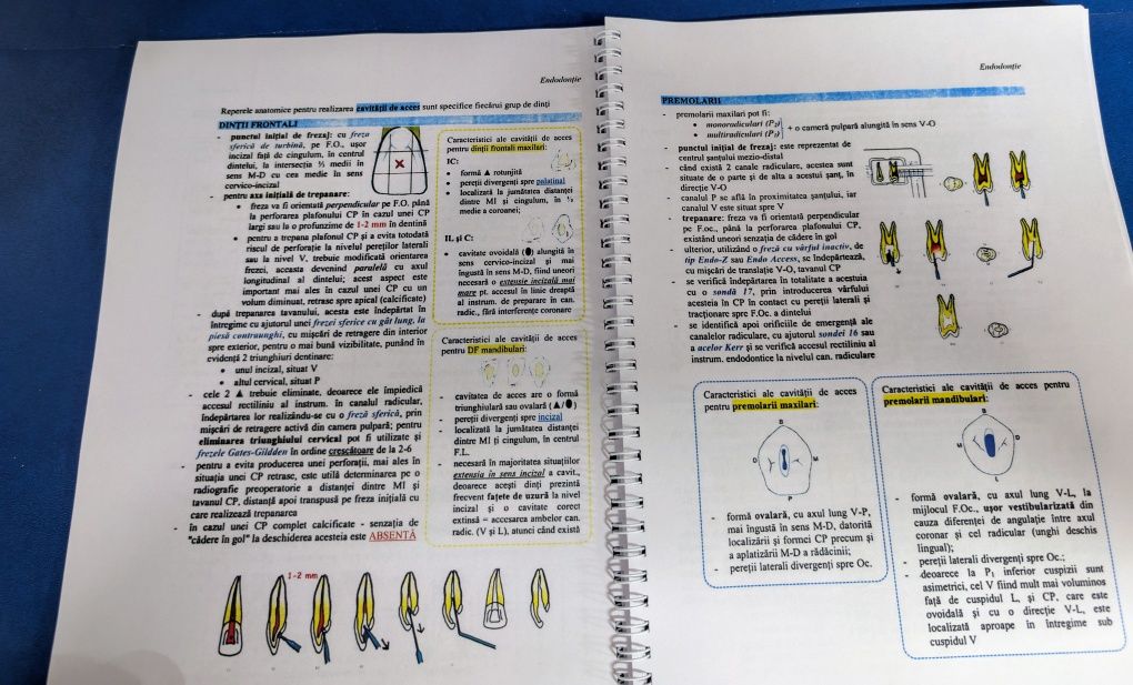 Sinteze Rezidențiat Medicină Dentară