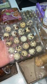 бодене жумырткасы перепелиные яицо