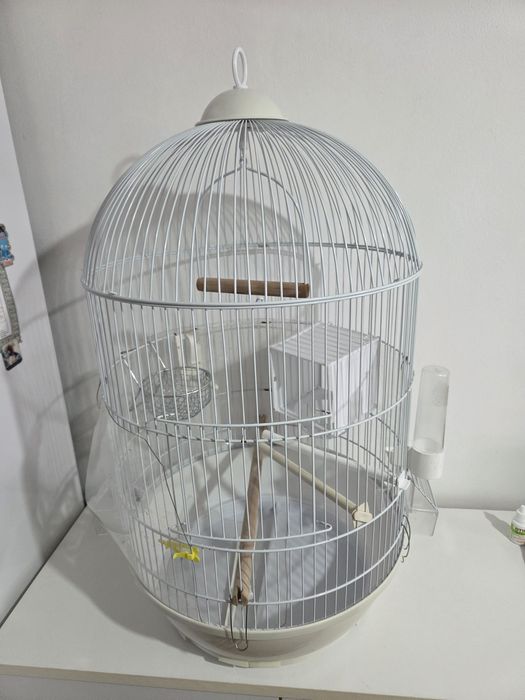 Colivie pentru peruși