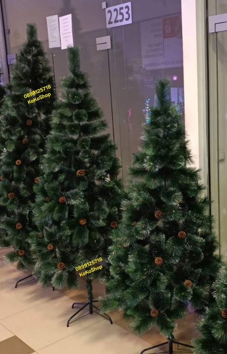 Елха с шишарки/елха със заснежени връхчета и шишарки