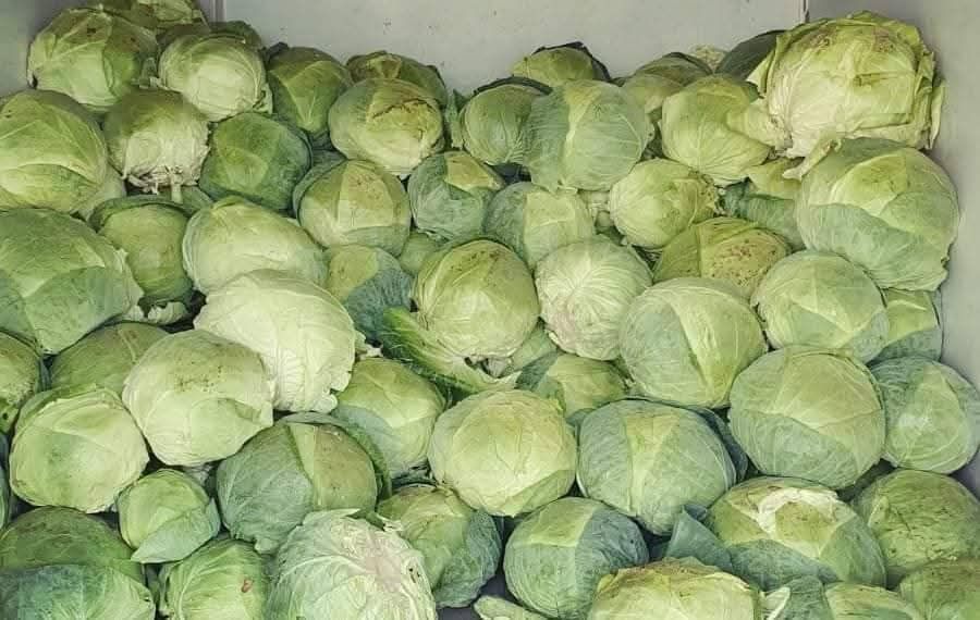 Varza românească