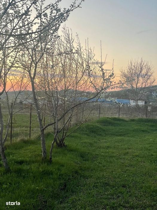 Teren intravilan Bârnova 556mp