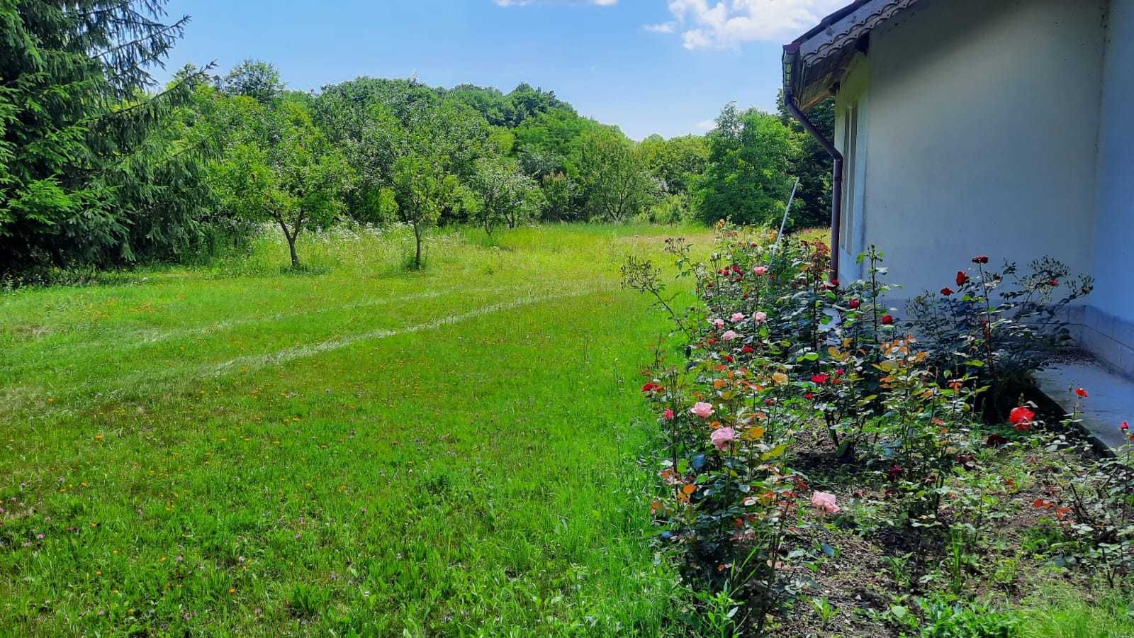 Casa de vacanta/cabana de vanatoare la Soveja, in Muntii Vrancei !