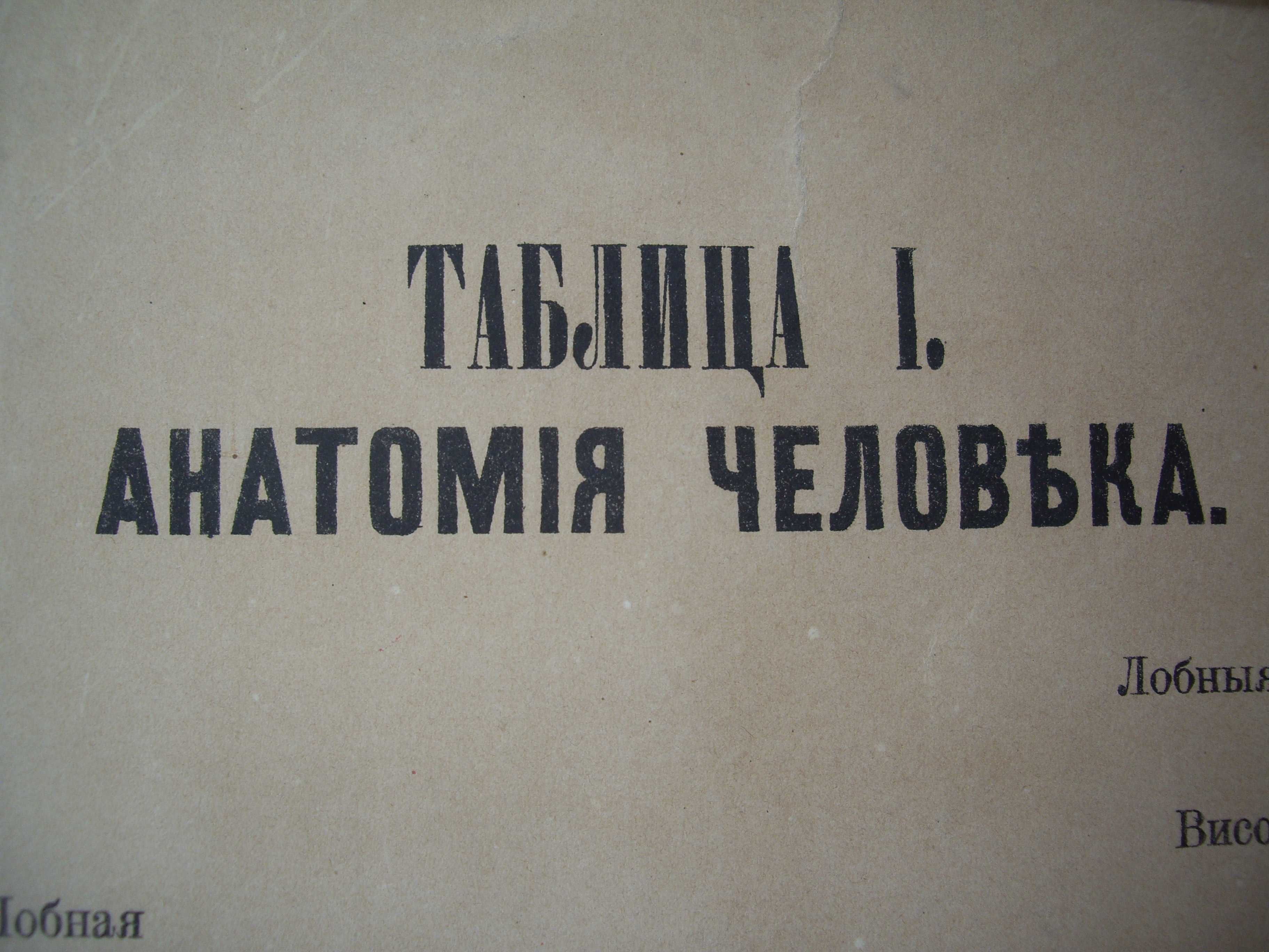 1881 Голям руски албум с цветни страници