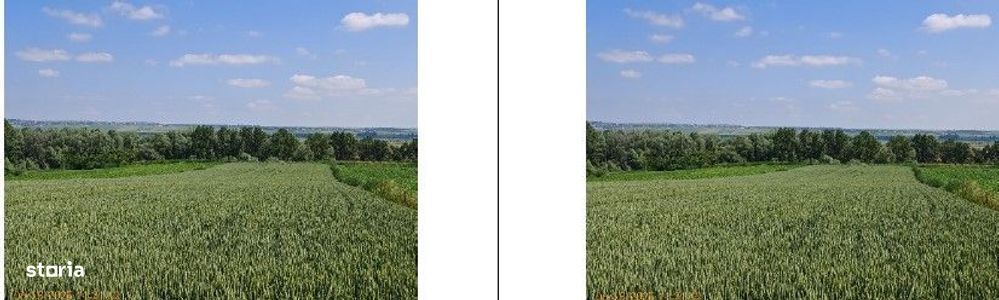 Teren extravilan Bosanci, ID: R2649417