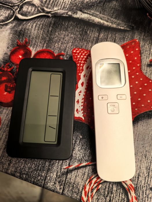 Лот от дигитален термометър и електронен часовник