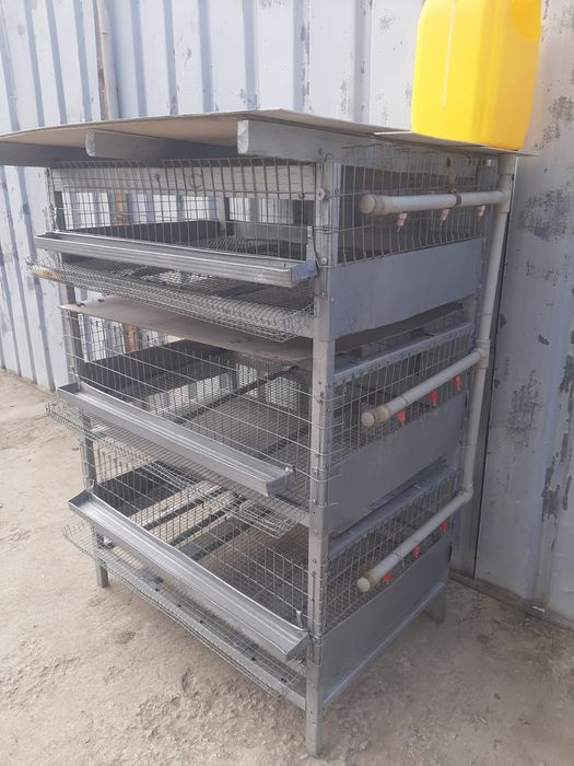 Брудер для перепелок