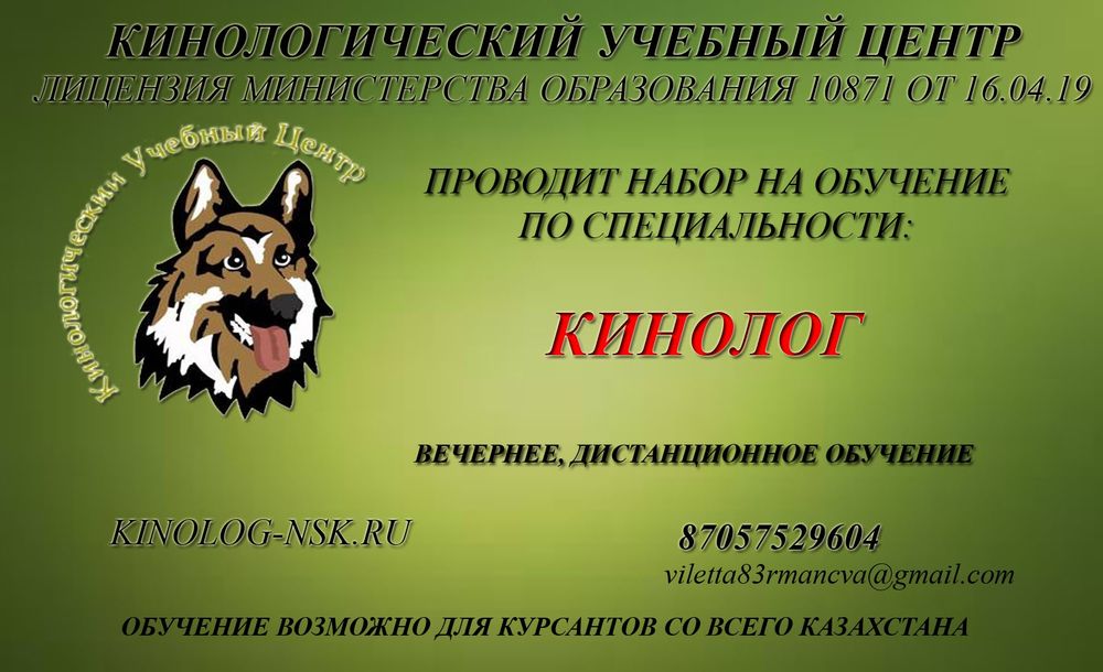 Обучение по специальности "Кинология".