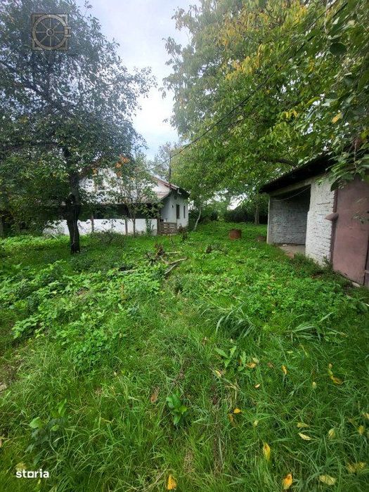 Teren Butimanu - 3700 mp-deschidere lac