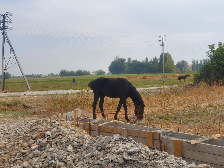 Yer sotiladi Raysentrda Eshonguzarda