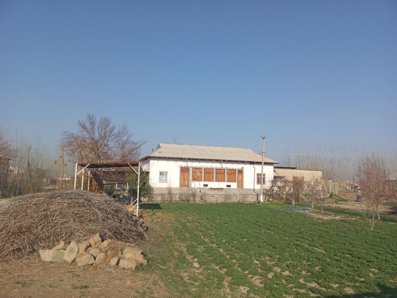 Kadastir qilingan dakumentidan mommo yuq