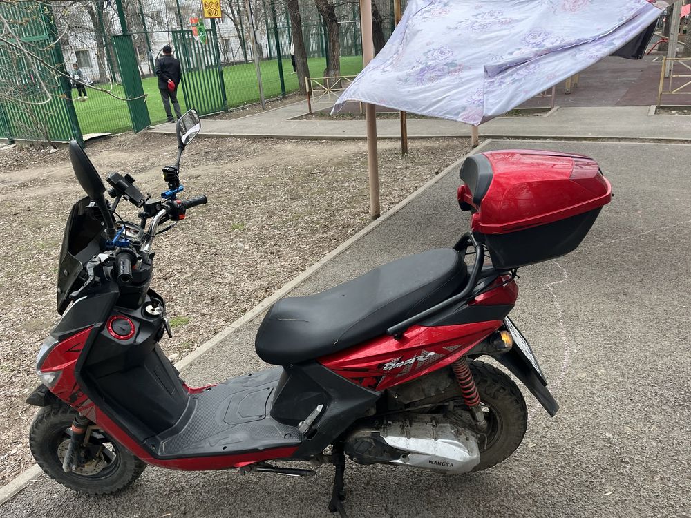 Самурай 49ssssss