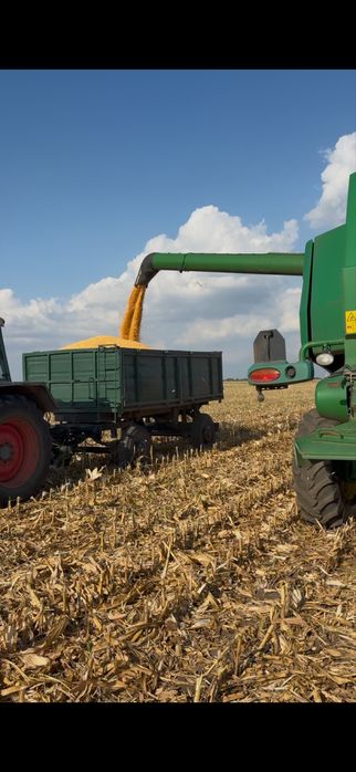 Vand porumb, 1,3 lei!