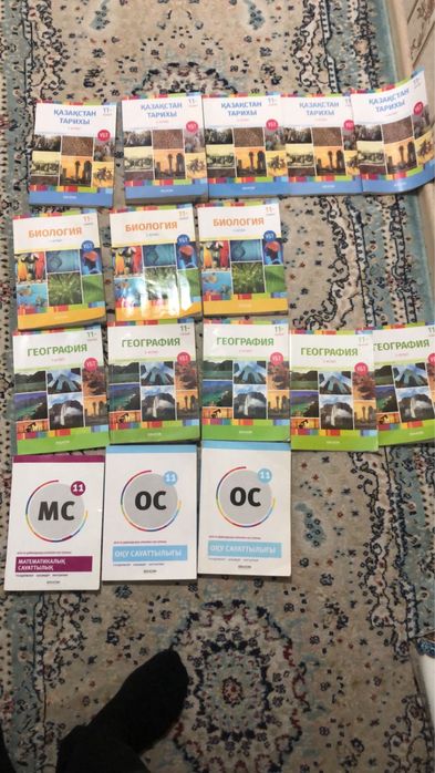 Educon кітаптары 11сынып