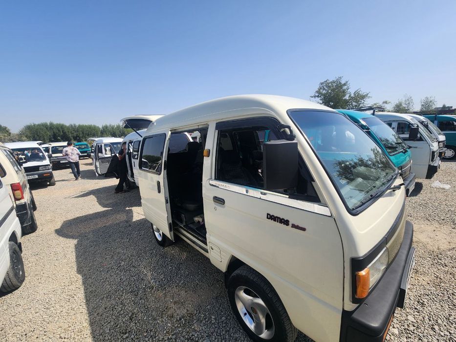 Damas sotildi serochny