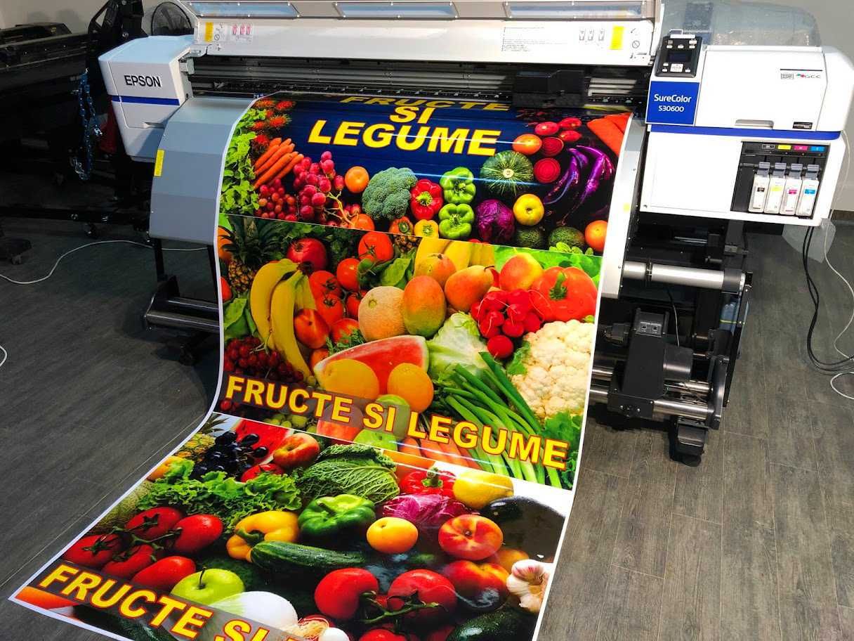 Imprimanta Plotter ECOSOLVENT EPSON s30600 (nu roland, mimaki, mutoh)