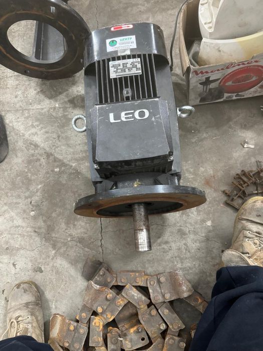 Электродвигатель Leo