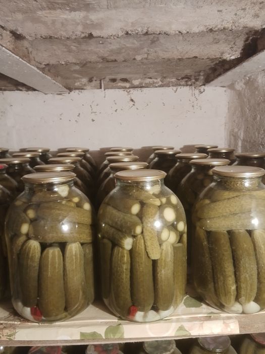 Продам соление огурцы помидоры.