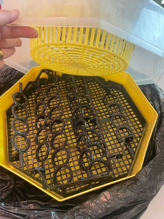 Clocitoare Oua - 42 BUC