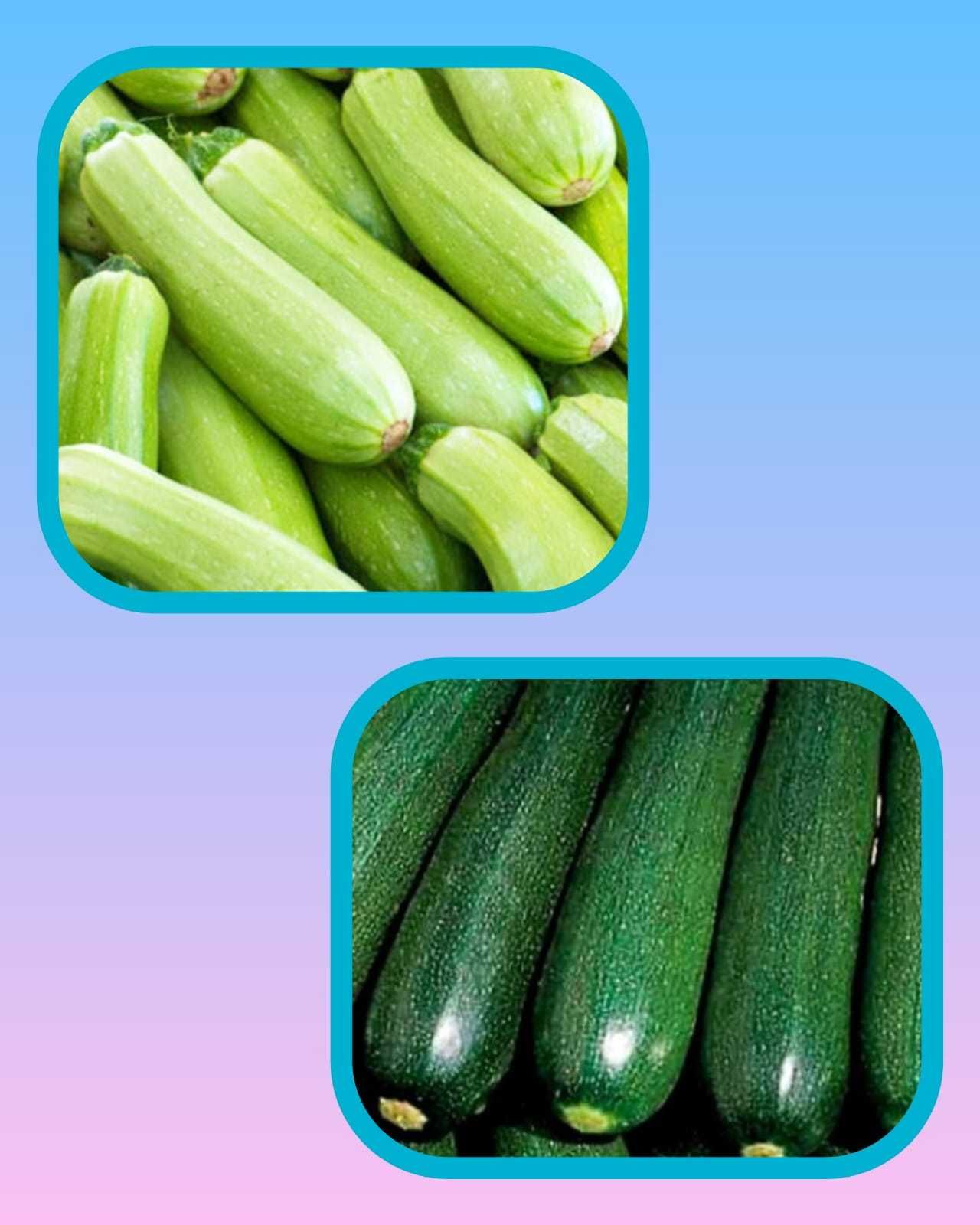 Продаю семена кабочков светло-зеленые и темно-зеленые /цукини/.