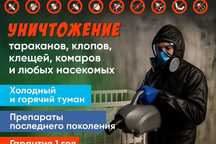 уничтожение клопов дезинфекция от клопов дезинфекция клопов dezin D-3