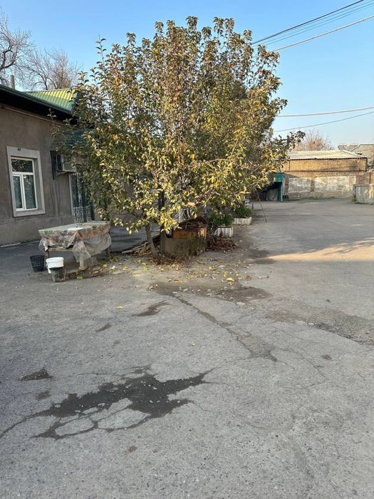 Жомеда 1,55 гектарли база сотилади