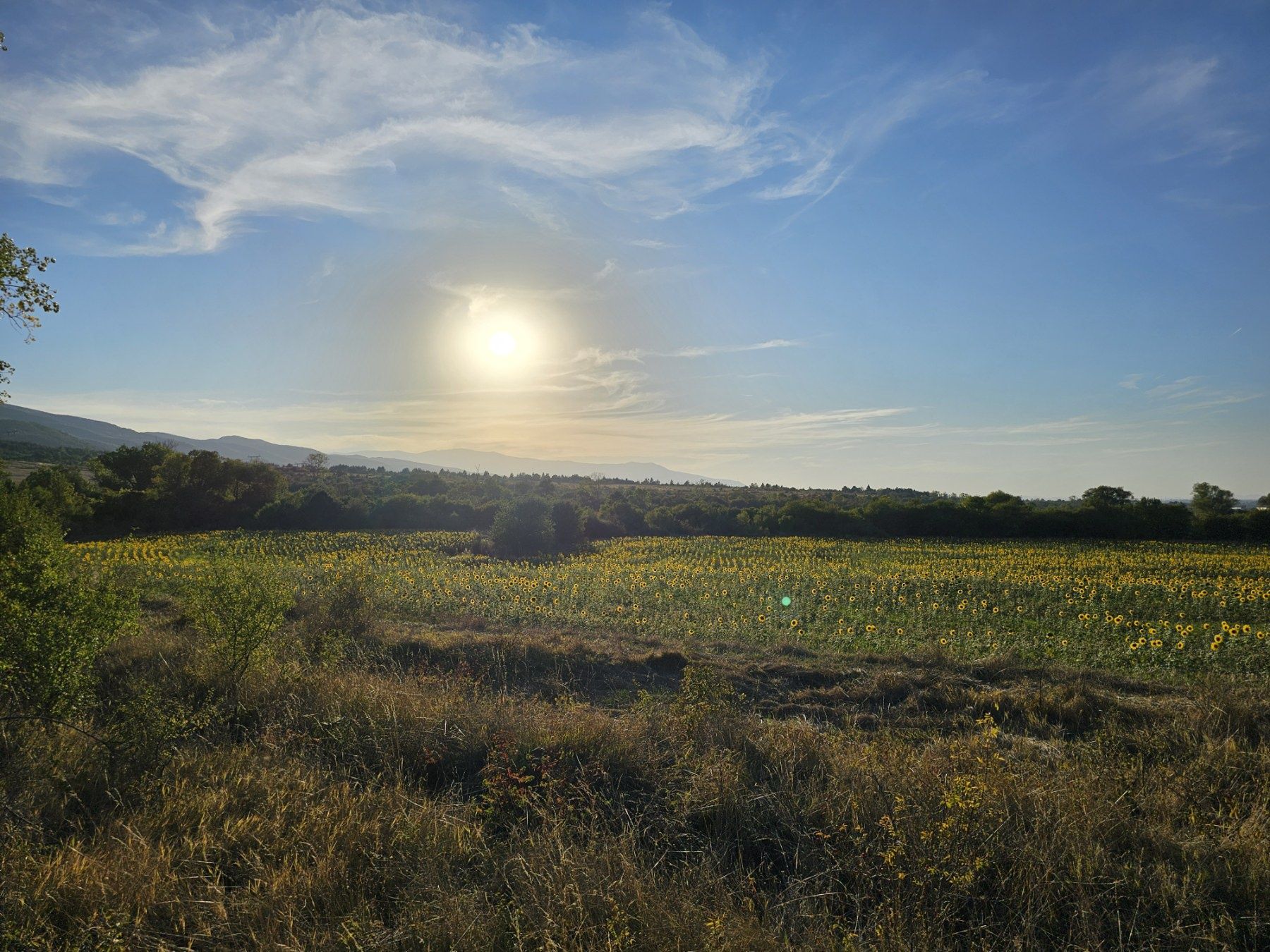 Парцел село Нови Хан, 8232 кв.м.