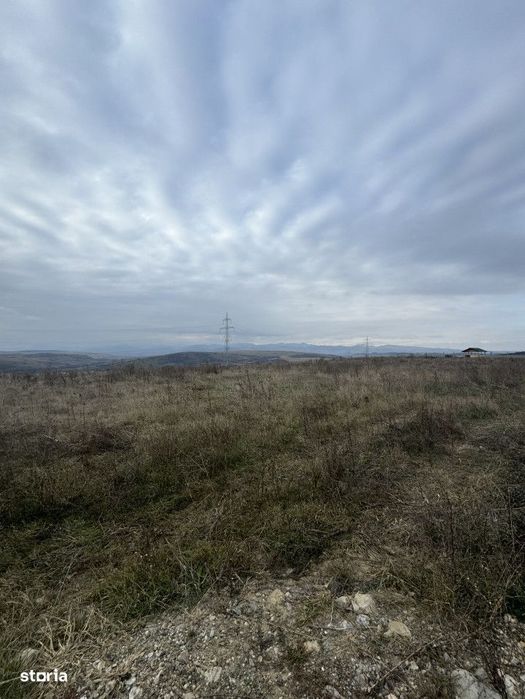 Teren intravilan 13000mp,posibilitate constructie casa individuala si