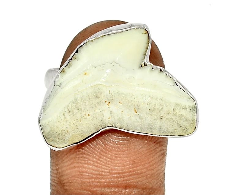 Inel argint cu dinte de rechin si bratara cristale