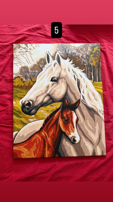 Нарисувани картини по номера