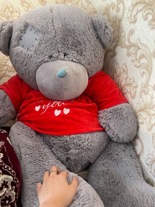 Tedii ayiqcha razmeri zōr