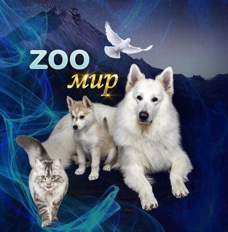 Собаки щенки Кз лучшая площадка зоо реклам