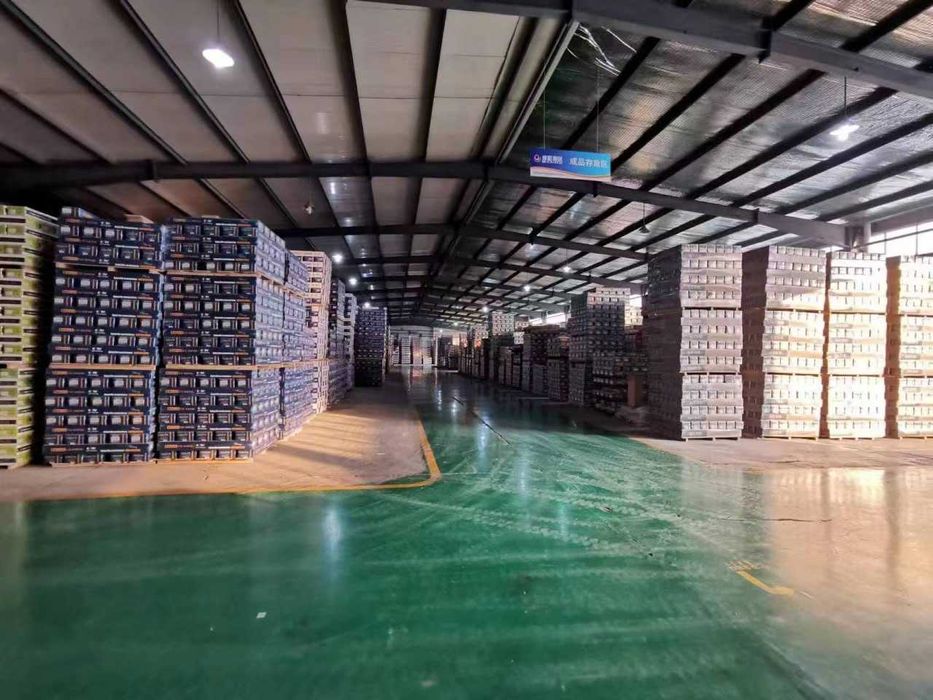 Ламинат (TARKETT-ТИП) • Прямые Поставки Из Китая (EXW) Laminat