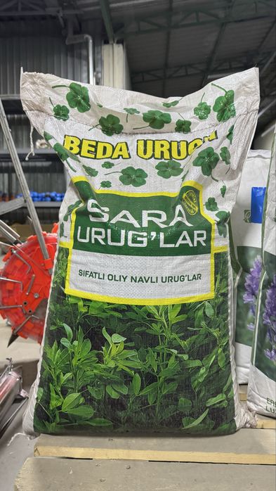 SARA — beda urug’i