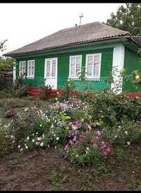 Casa De Vanzare in Falesti (R Moldova)