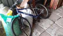 Bicicleta 200 de lei