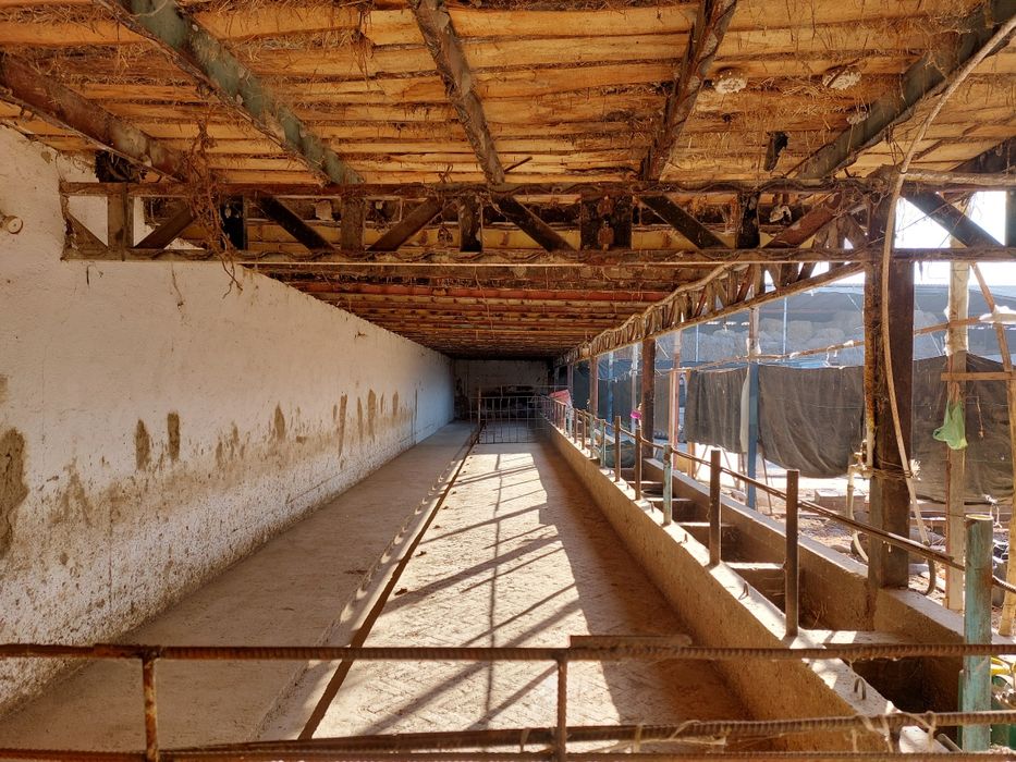 Tayor ferma sotiladi !