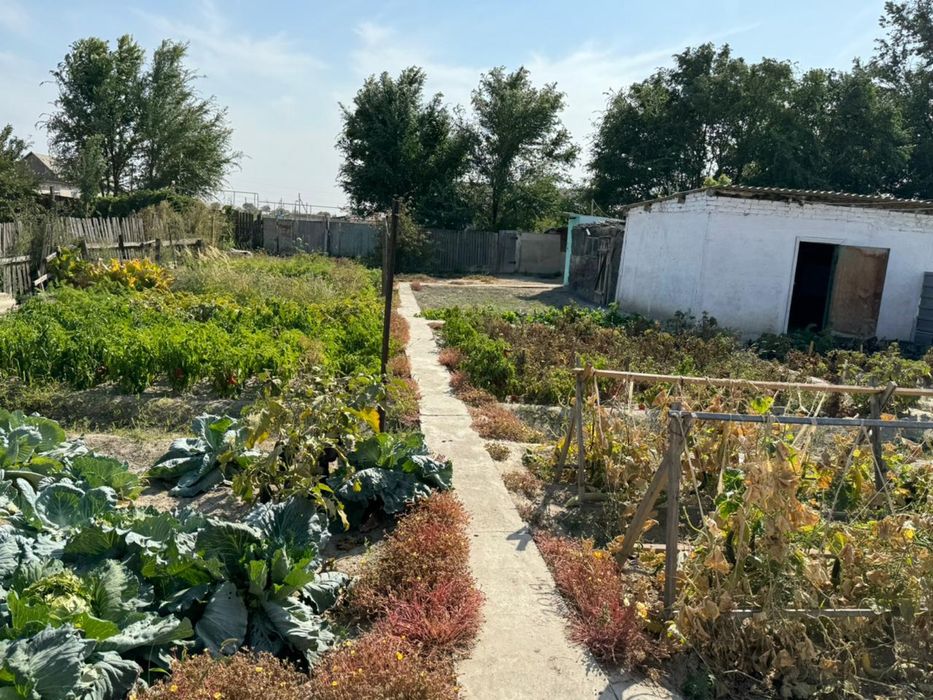 Продается дом в уштобе