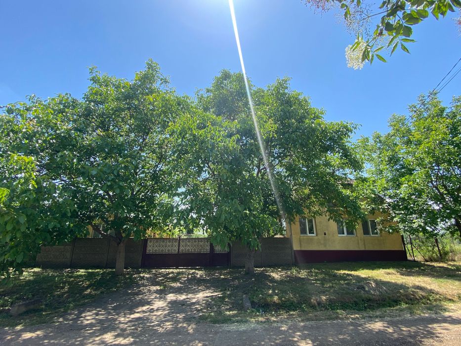 Casa la Cebza cu 4000 mp teren  intraviran