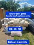 Pene vechi dune perne gasca