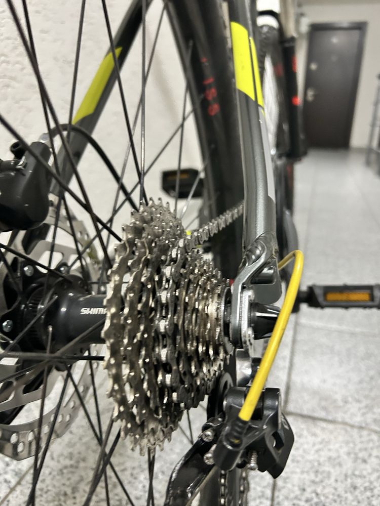 Vand bicicleta focus