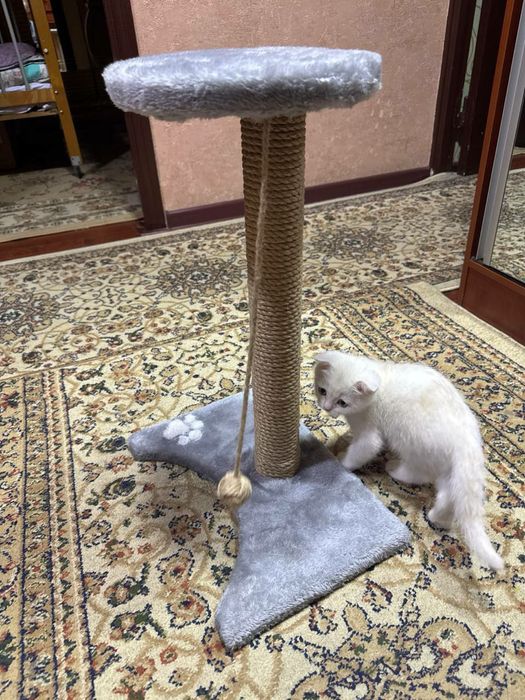 Когтеточка кошек. Джут. Прочная устойчивая. Когтеточки