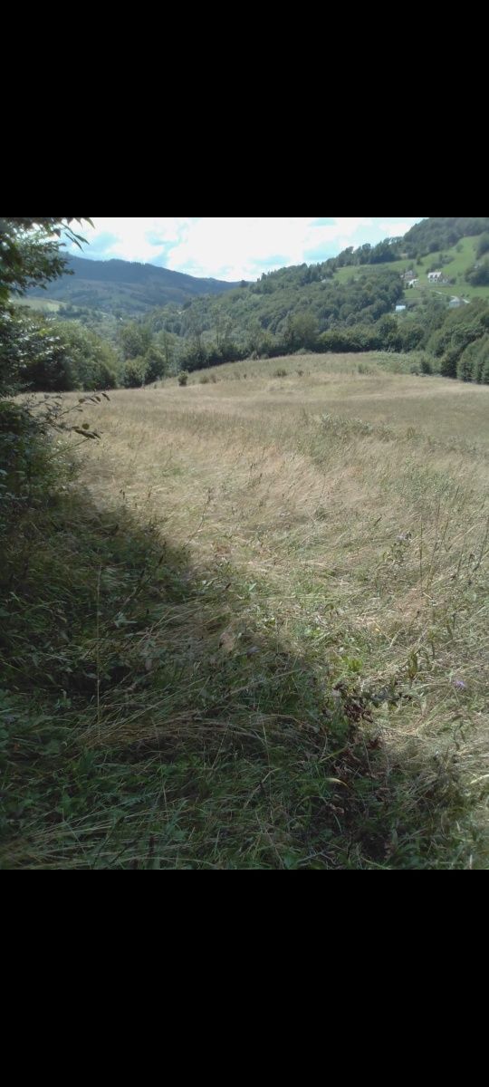 Vand terenuri si padure in Abrud, Alba