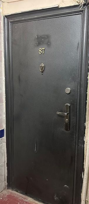 Двер металлическая для дома