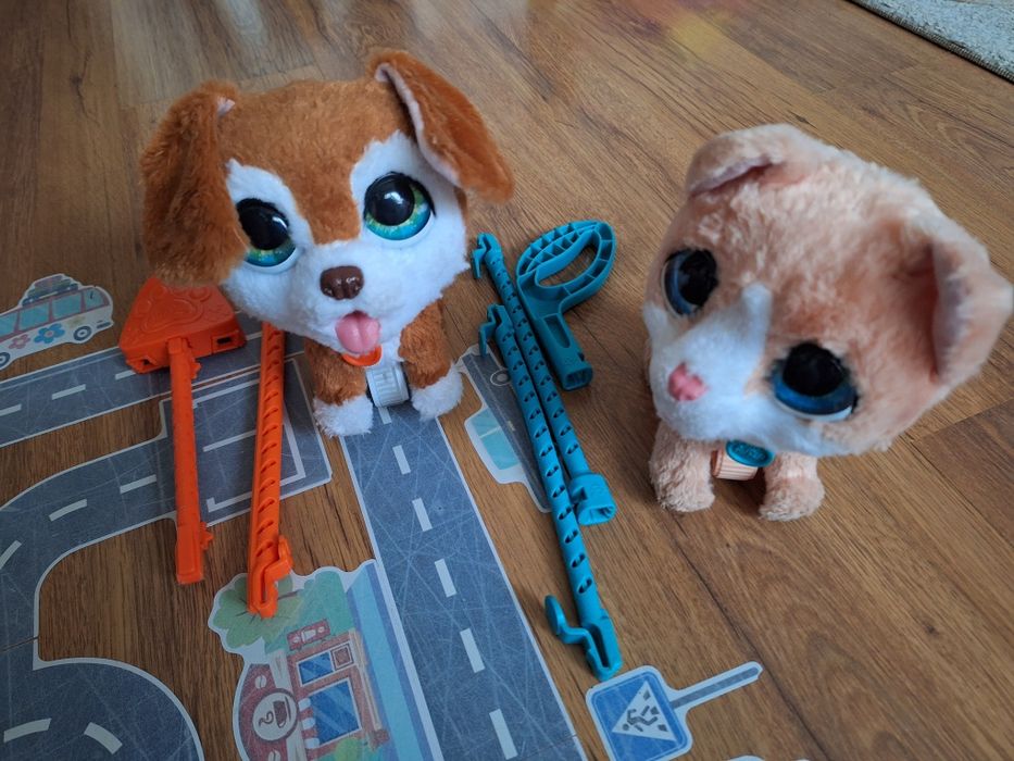 Куче и коте с повод